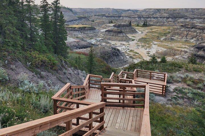 Badlands Guided Small Group Tour: Calgary to Drumheller Dinosaurs