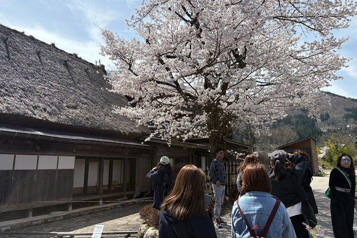 Shirakawa-go vanuit Takayama/Nagoya Een dag Busticket
