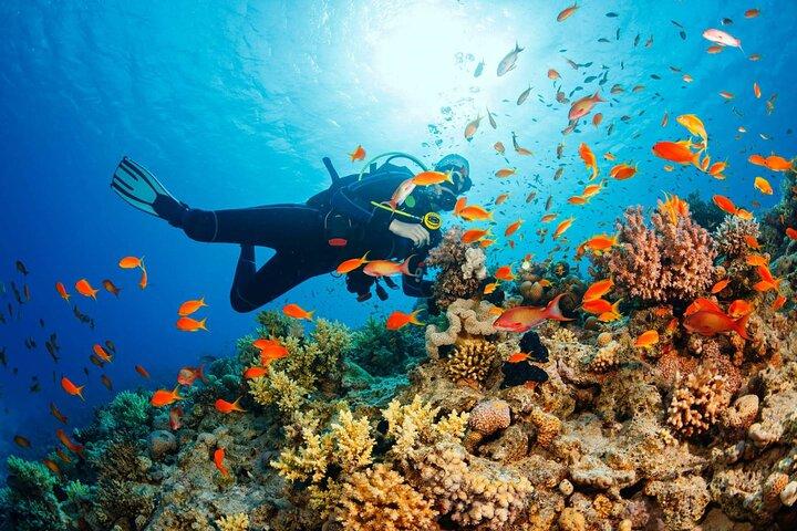 Hotéis em Phu Quoc Island