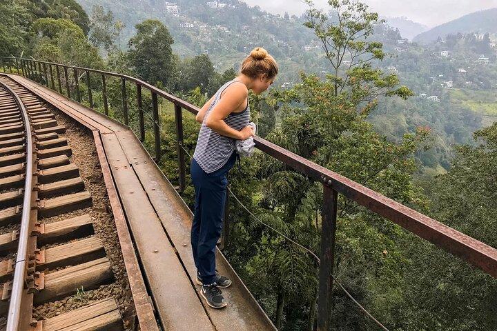 Ella Tagestour mit Zugfahrt von Colombo oder Negombo