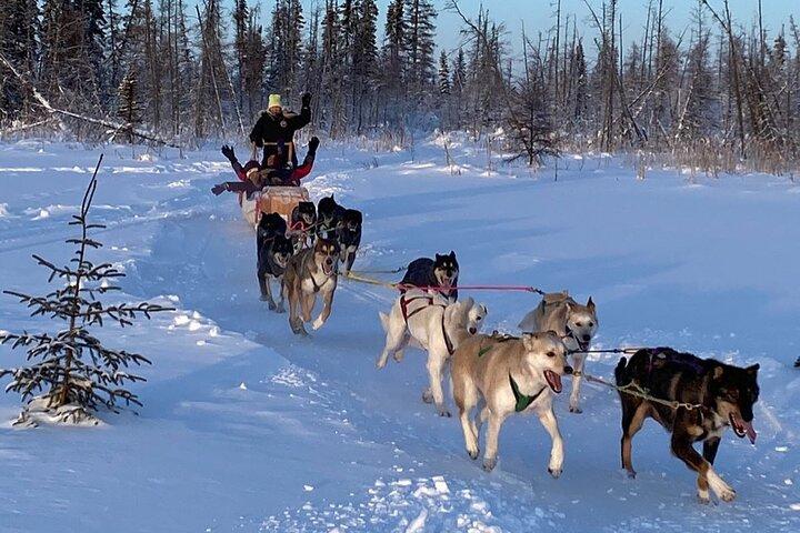 Traditional Dog Sledding Adventure in Yellowknife