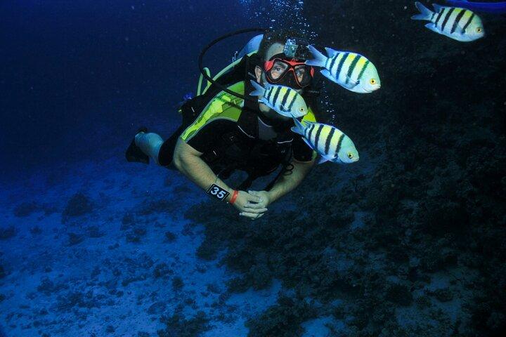 PADI Open Water Diving Kurs Mit Transfer : Marsa Alam