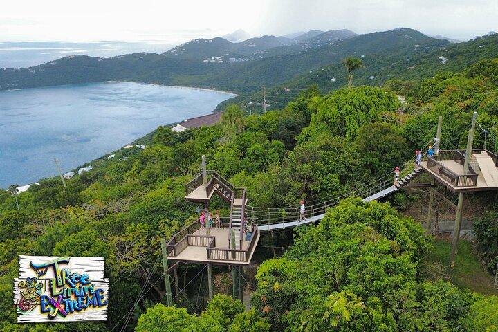 Tree Limin 'Extreme Zipline