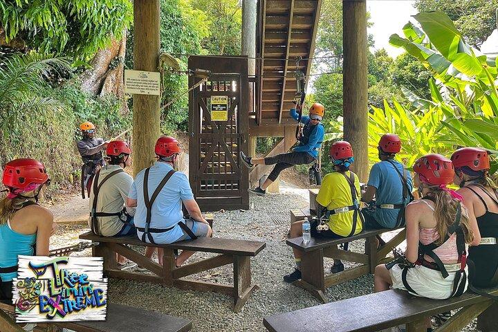 Tree Limin 'Extreme Zipline