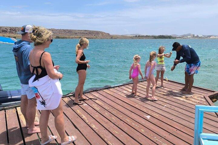 Tour privado de snorkel en aguas vibrantes y manglares serenos de Aruba