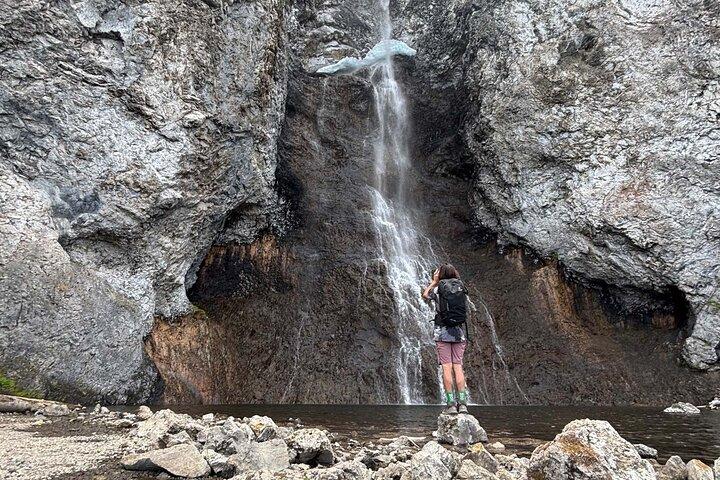 Yellowstone National Park Excursão guiada privada de dia inteiro