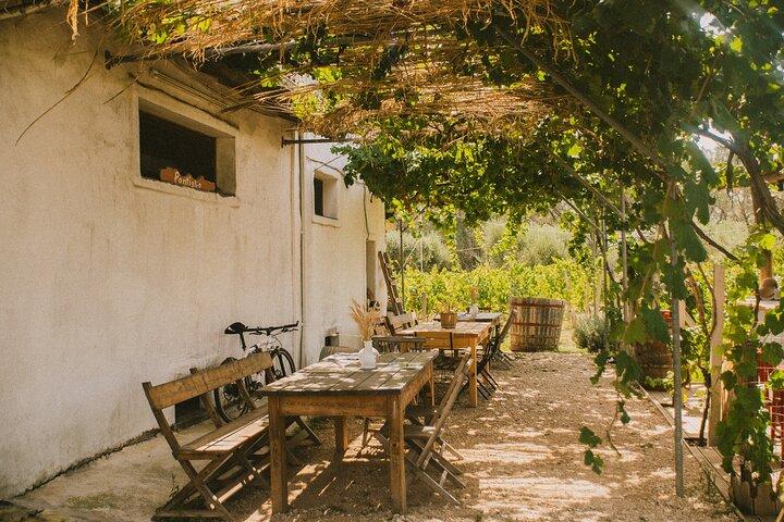 Korfu E-Bike Touren Abenteuerkultur und Weinprobe