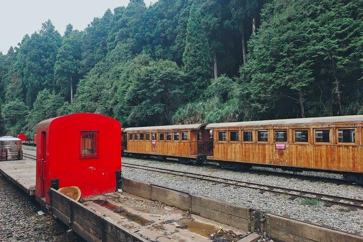 Alishan Scenic Excursão guiada de um dia saindo de Taichung