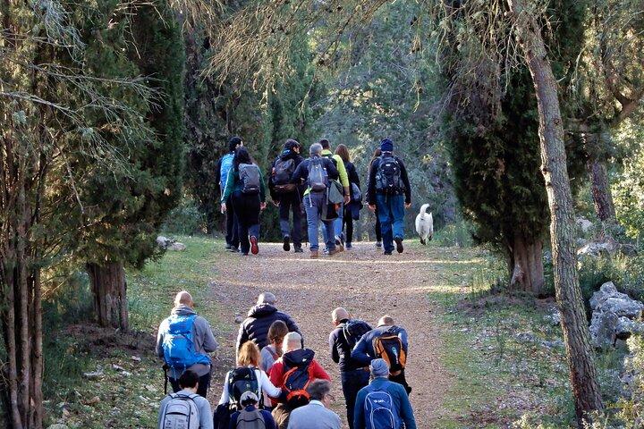 Mercadante Forest : excursion in Alta Murgia National Park