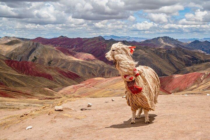Palcoyo Rainbow Mountain Ganztagestour von Cusco
