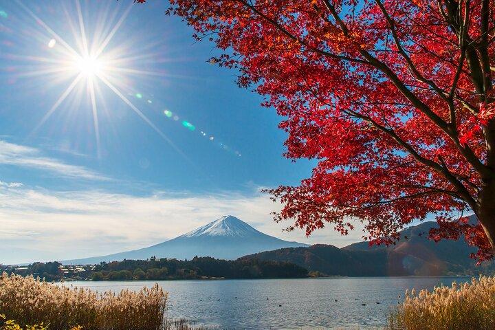 東京から富士山&白州蒸留所ウイスキー博物館バスツアー