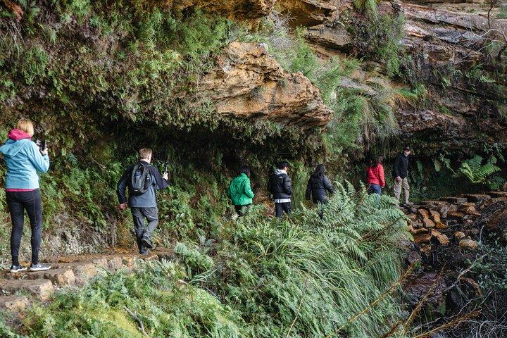 Exclusieve Blue Mountains Wildlife en Bushwalk Tour vanuit Sydney