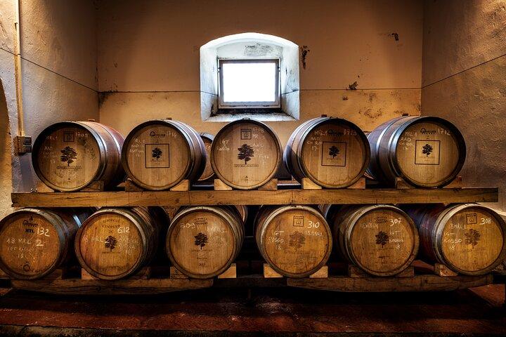 Tour completo de vinho e azeite em Chianti Hills
