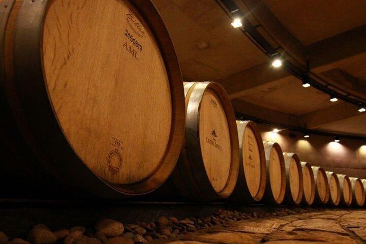 Catena Zapata Experience and lunch in a Michelin Guide Restaurant