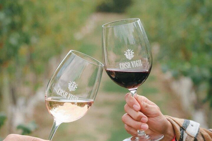 Casa Vigil, The Enemy Full Day Experience , Tastings & Lunch
