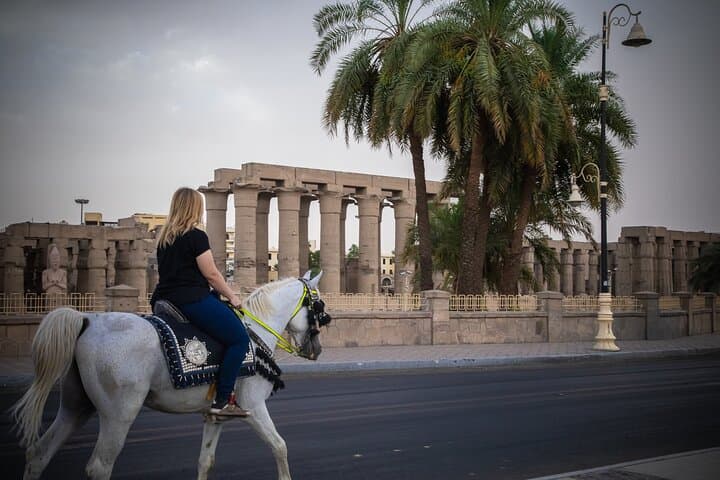 Horse Riding - Explore Luxor East Bank on Horseback