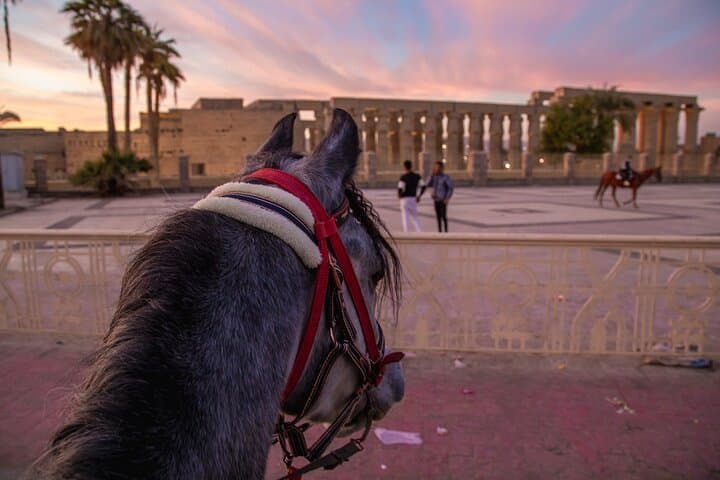 Horse Riding - Explore Luxor East Bank on Horseback