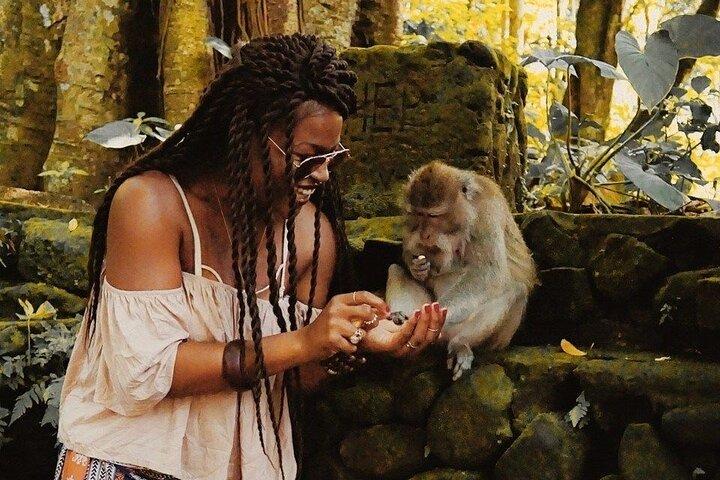 Ubud Monkey Forest Water Temple Wasserfall und Reisterrasse