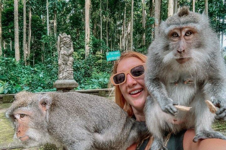 Ubud Monkey Forest Water Temple Wasserfall und Reisterrasse
