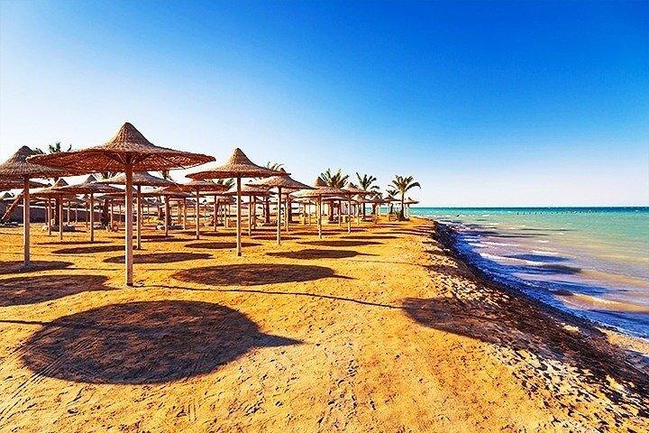 Daglig brug til Red sea ain EL Sokhna Beach fra Cairo eller Giza hotel