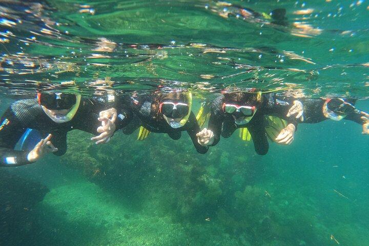Lisboa: Snorkel en la Reserva Marina Prof. Luiz Saldanha