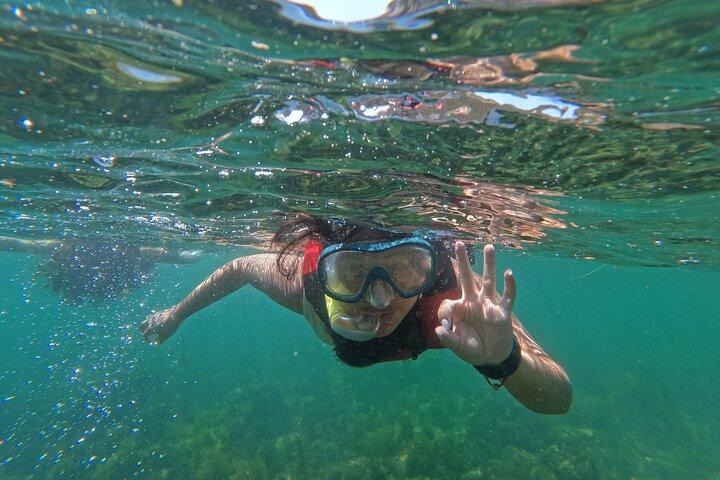 Lisboa: Snorkel en la Reserva Marina Prof. Luiz Saldanha