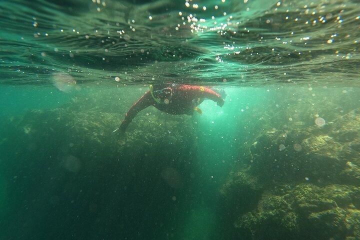 Lisboa: Snorkel en la Reserva Marina Prof. Luiz Saldanha