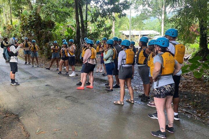 El Yunque Rainforest and Zipline Canopy Combo Tour