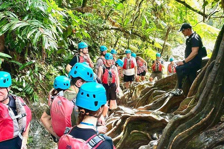 El Yunque Rainforest and Waterfall Guided Tour