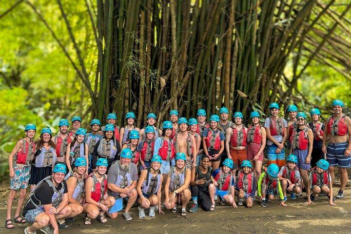 El Yunque Rainforest and Waterfall Guided Tour