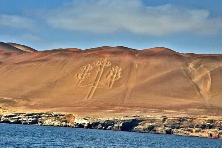 Excursion d'une journée au départ de Lima : Paracas et l'oasis de Huacachina