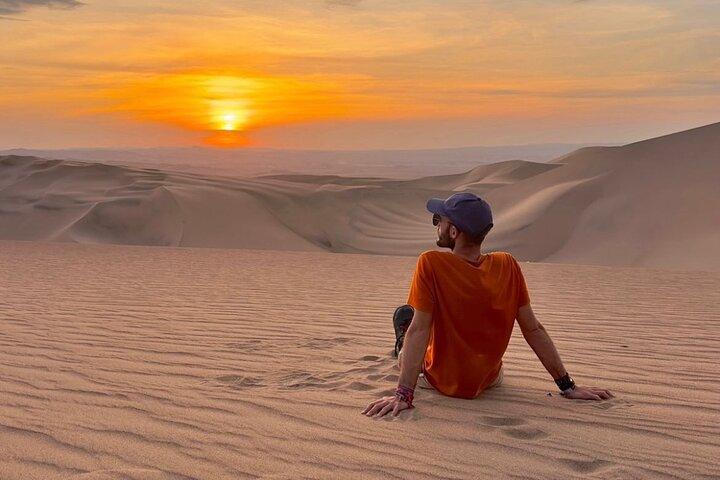 Excursion d'une journée au départ de Lima : Paracas et l'oasis de Huacachina