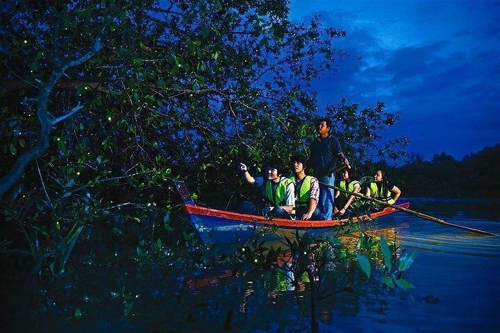 Soirées enchanteresses : Visite des lucioles et des larmes bleues avec dîner