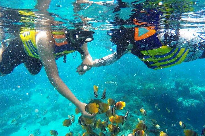 Bali Nusa Dua Combo para-sailing e snorkeling incluem transferência