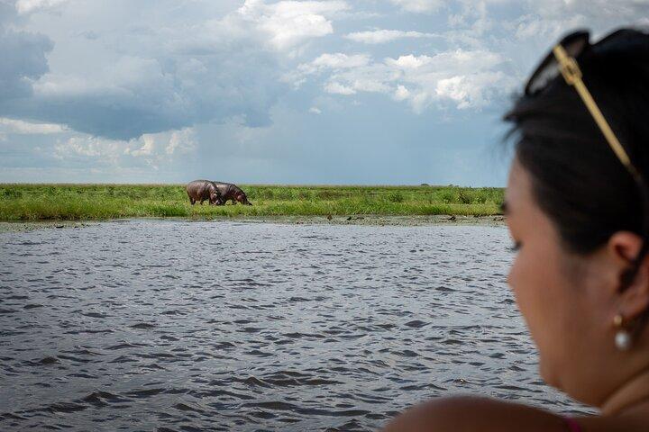 Victoria Falls Chobe Day Tour Rhino Courte promenade