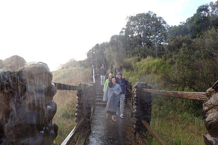Victoria Falls Chobe Day Tour Rhino Courte promenade
