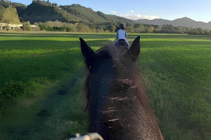 Ridupplevelse i Bolognese Hills