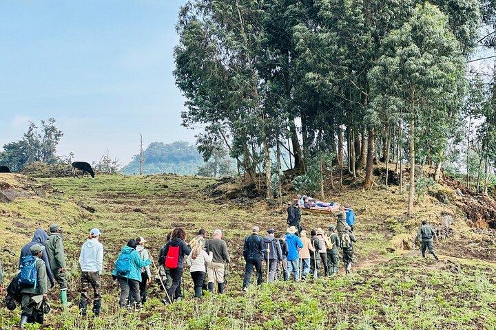 1 dag Bisoke vulkaanwandeling vanuit Kigali met privé 4WD