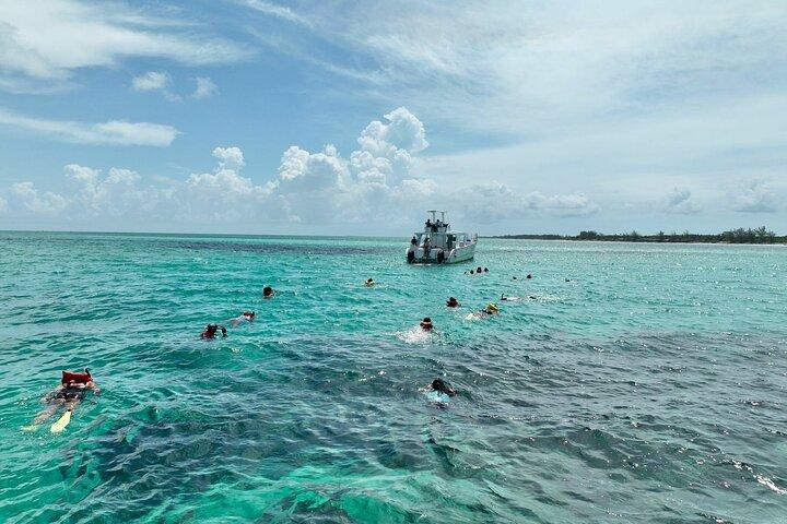 Swim with Pigs & Beach Snorkeling with Turtle Viewing Rose Island
