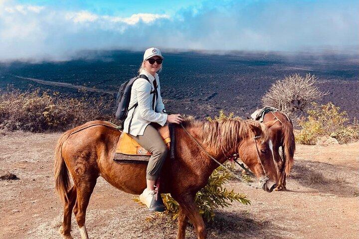 Hoteller i nærheden af Sierra Negra Volcano Galapagos