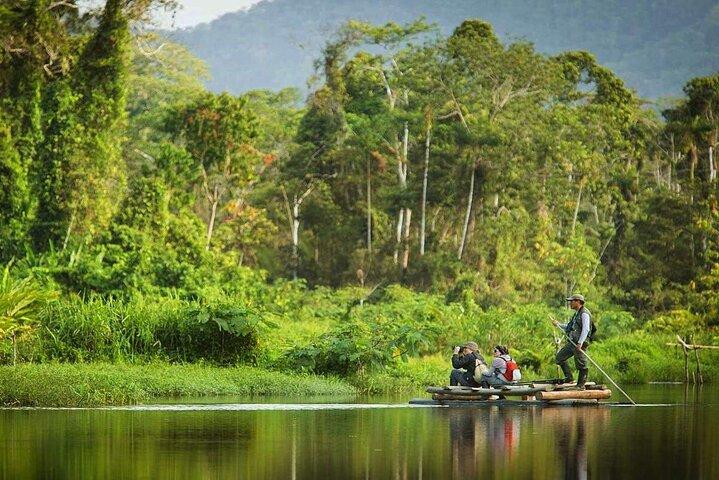 Cusco : Biodiversität des Manu Nationalparks 3 Tage 2 Nächte