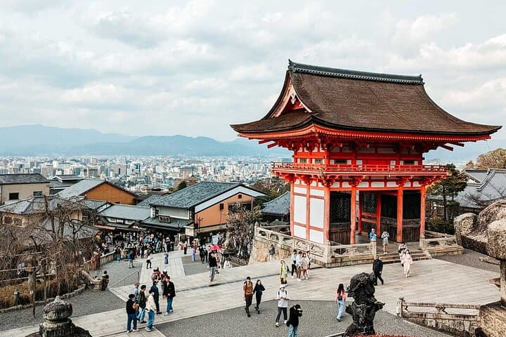 Nara Park and Fushimi Inari Exclusive Day Trip