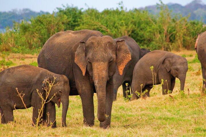 Private Tour for 3 Days (Car or Van)
