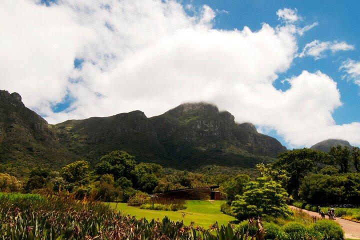 Cape Town Garden Entry Kirstenbosch Botanical Experience