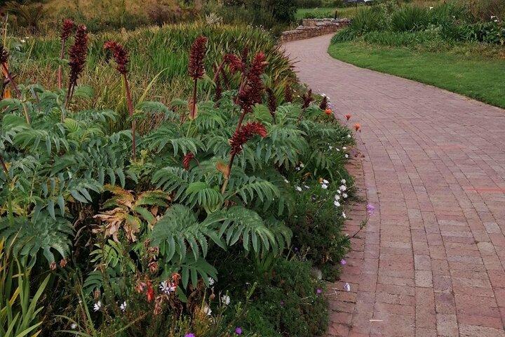 Cape Town Garden Entry Kirstenbosch Botanical Experience
