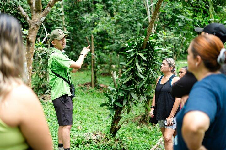 Chocolate, Vanilla & Coffee Combo Tour