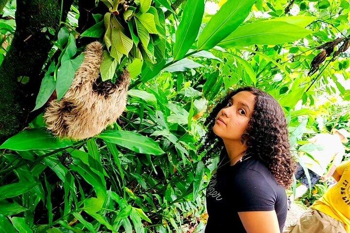 Waterval en luiaards koffie- en chocolade-ervaring in Costa Rica