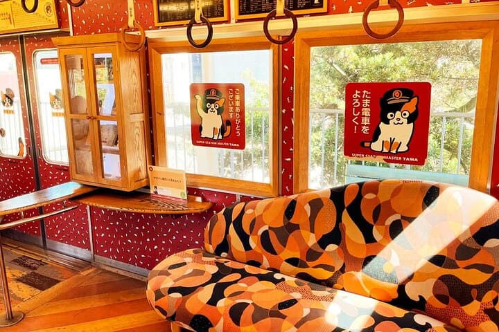 Osaka Wakayama Cat Train, Seafood market, Hot Springs Tour