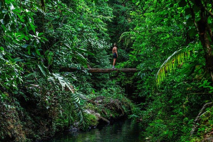 Avventura di un'intera giornata nel Parco nazionale del Corcovado da Drake Bay