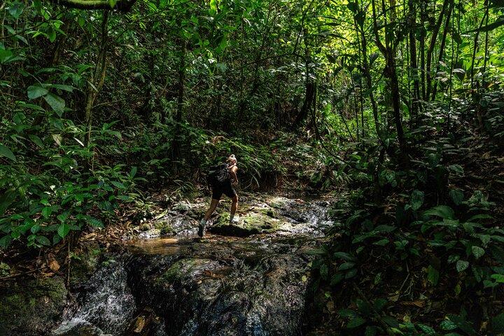 Avventura di un'intera giornata nel Parco nazionale del Corcovado da Drake Bay